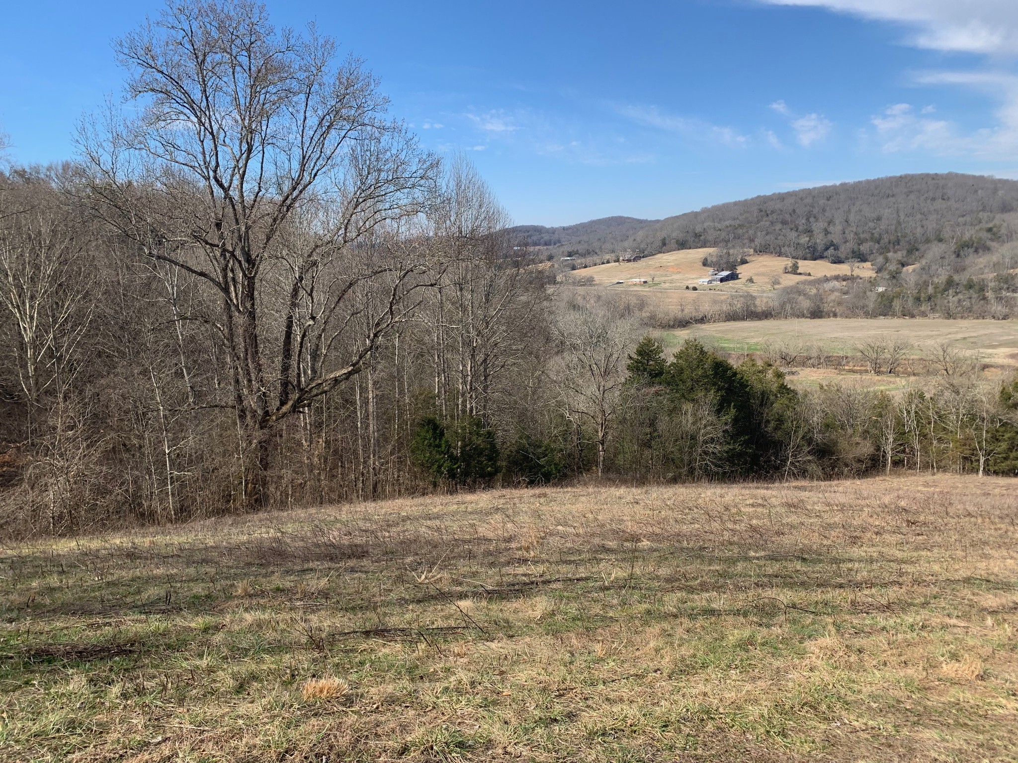 1 Oakley Road Liberty, TN 37095 - Photo 8 of 15 a view of outdoor space with mountain view