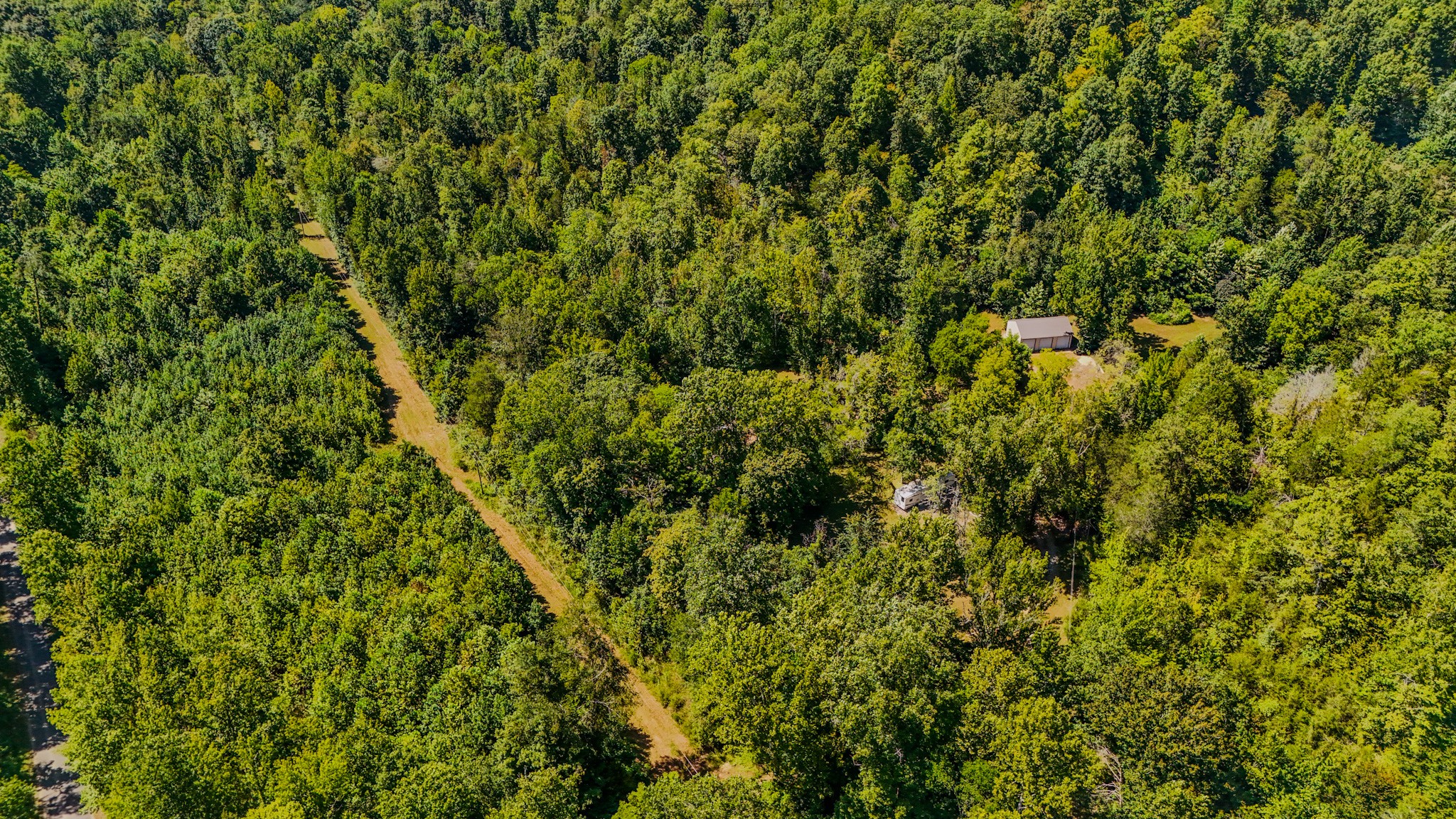 2195 Whiteoak Road East Linden, TN 37096 - Photo 11 of 56 Gallery Image 11