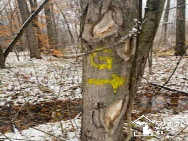 0 Hivon Carleton, MI 48117 - Photo 3 of 4