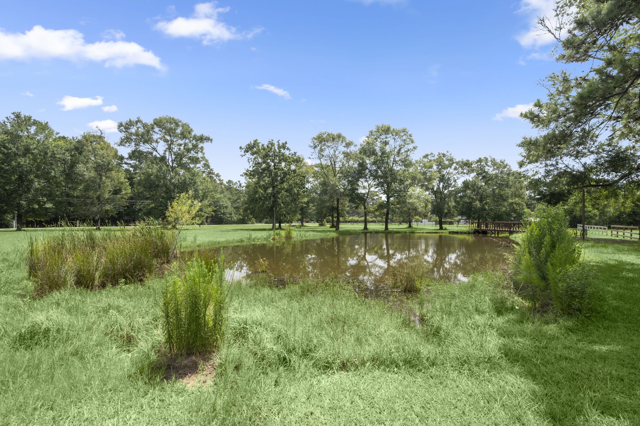 10871 Coaster Lane Conroe, TX 77306 - Photo 31 of 37 This view overlooks the pond and acreage, the house is behind you.