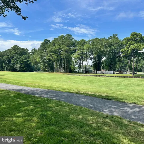 a view of a field with a tree in the background