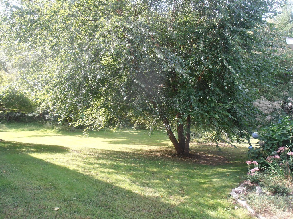100 Hampden Road East Longmeadow, MA 01028 - Photo 28 of 30 Gallery Image 28