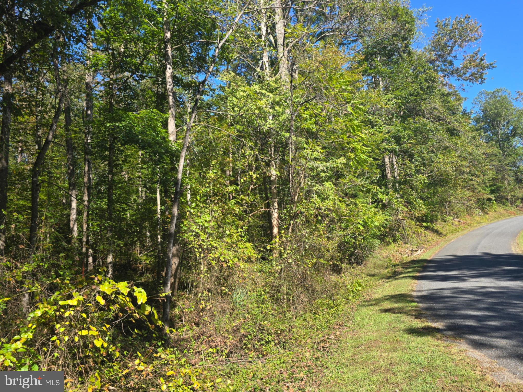 Poorhouse Road Banco, VA 22711 - Photo 1 of 5