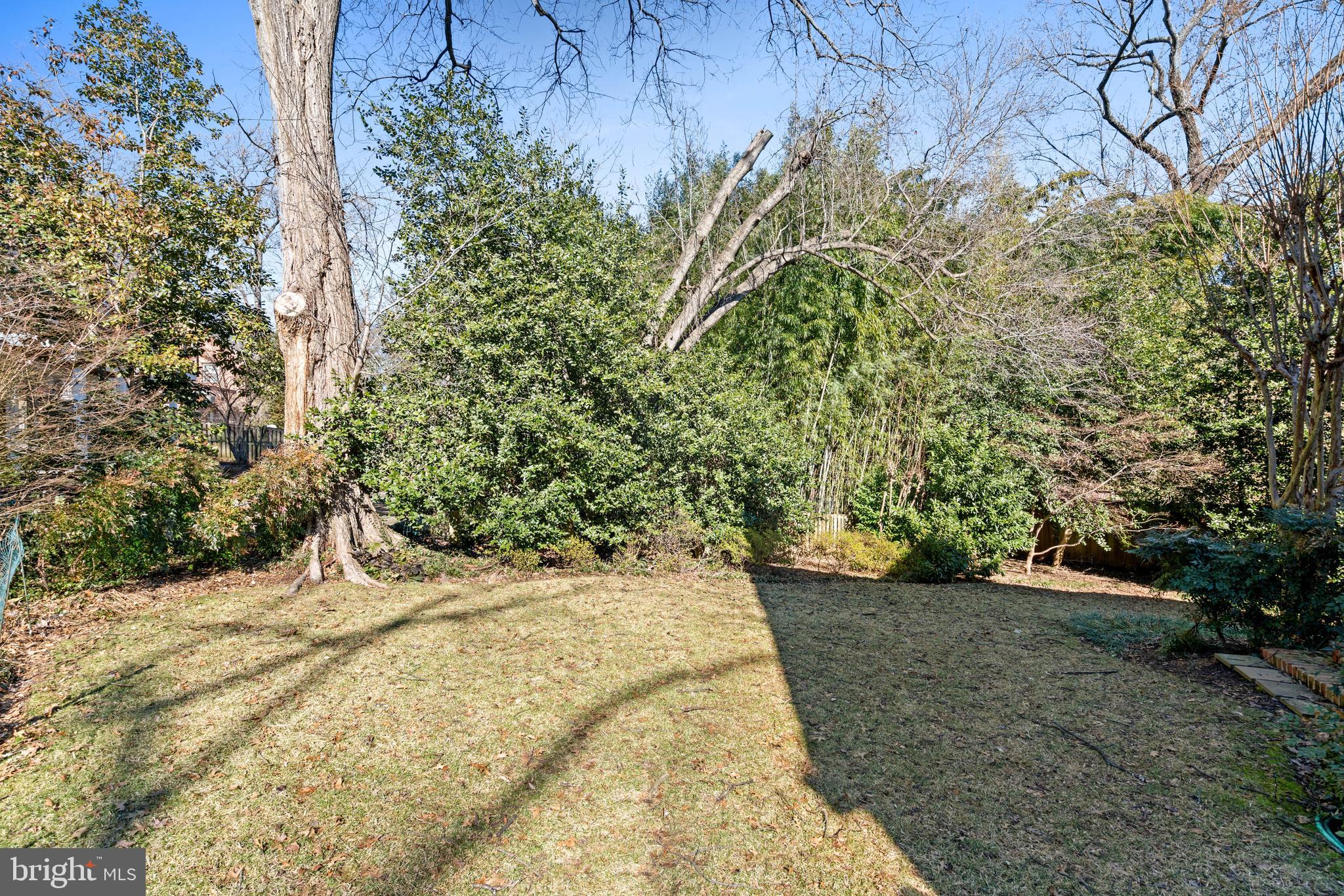 3549 Springland Lane Northwest Washington, DC 20008 - Photo 45 of 47 a view of a backyard of the house