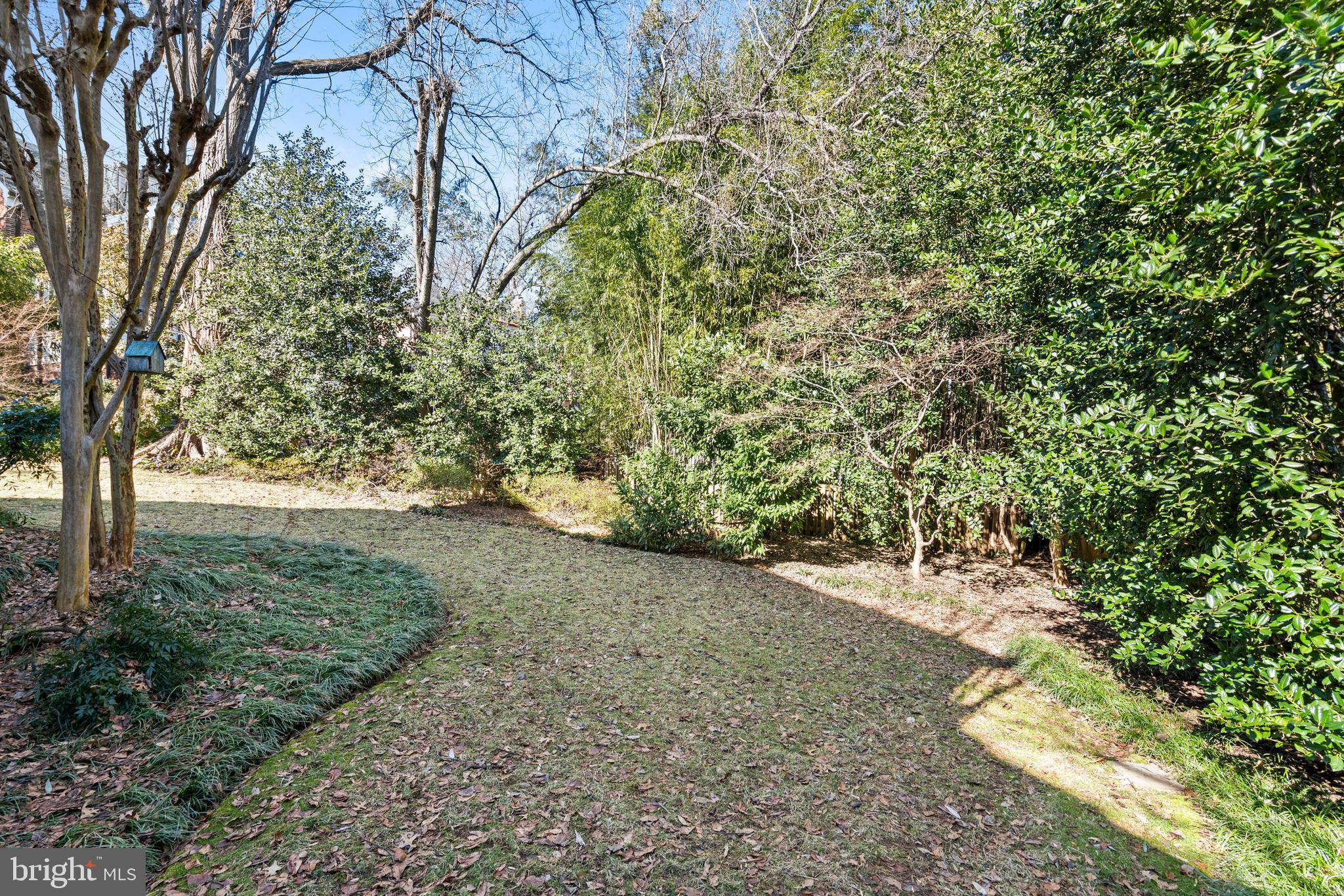 3549 Springland Lane Northwest Washington, DC 20008 - Photo 46 of 47 a view of a yard with plants and trees