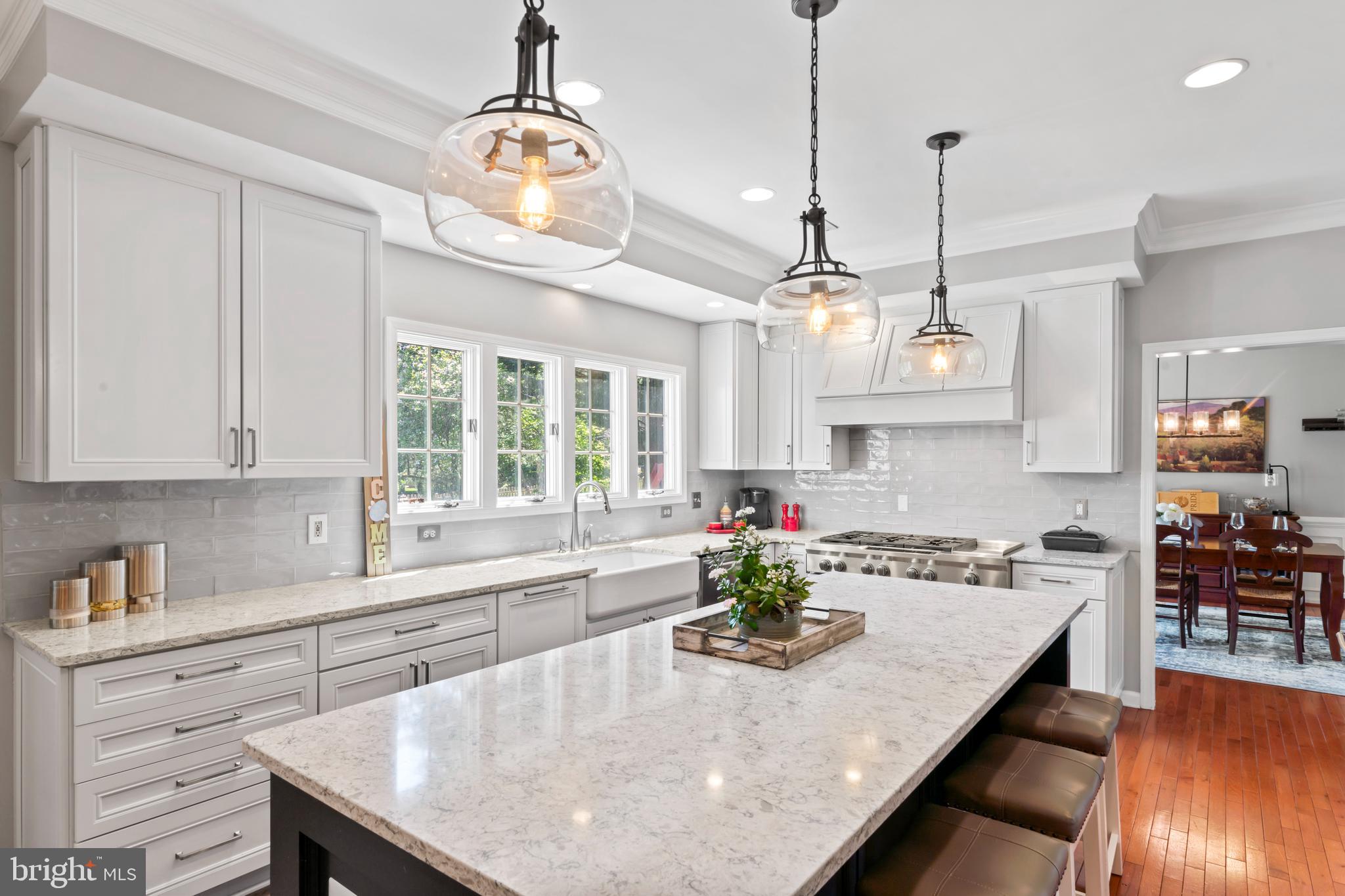 2519 Fallon Drive Herndon, VA 20171 - Photo 4 of 107