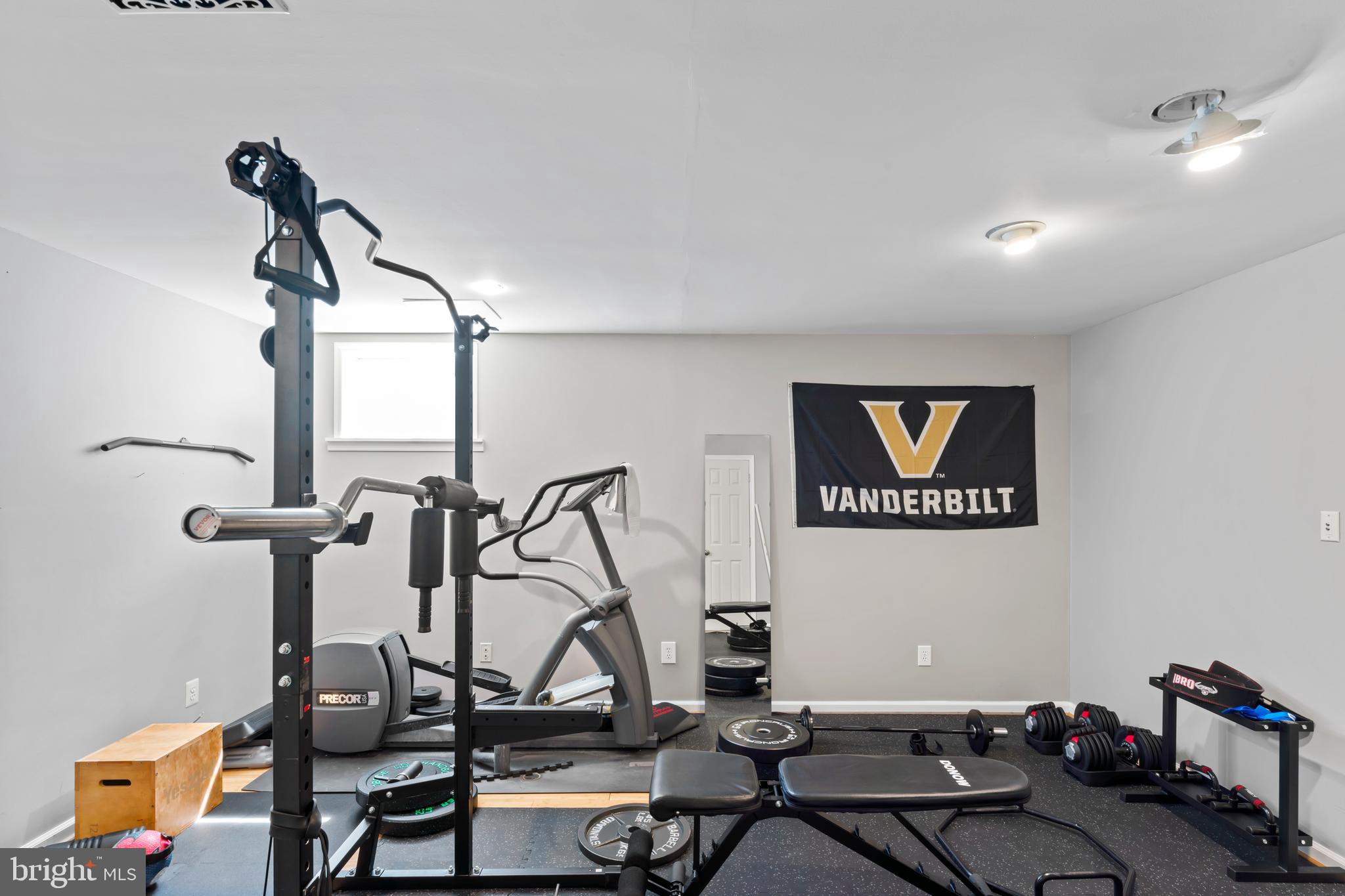 2519 Fallon Drive Herndon, VA 20171 - Photo 57 of 107 Lower Level Gym