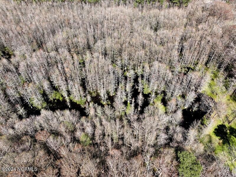 Tbd McGougan Road Lumber Bridge, NC 28357 - Photo 7 of 16 DJI_20240312142426_0134_D