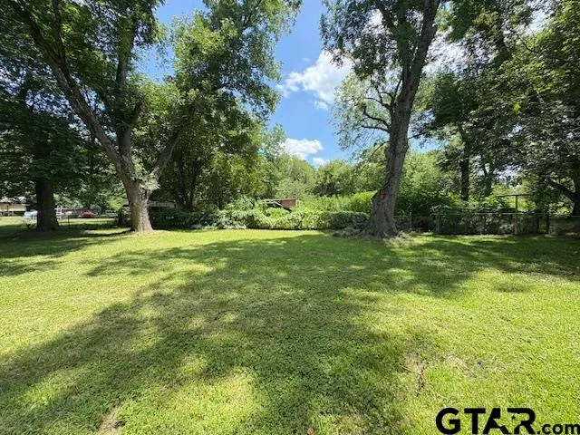 a view of yard with green space