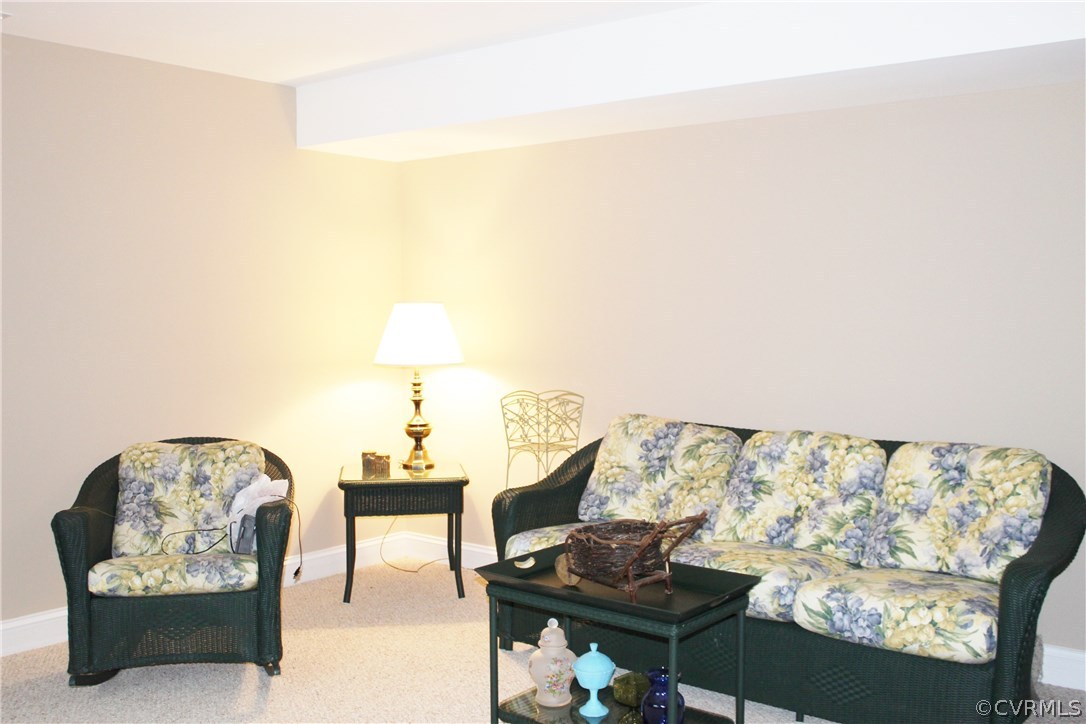 2074 Alldever Road Maidens, VA 23102 - Photo 23 of 29 In- Law Suite
