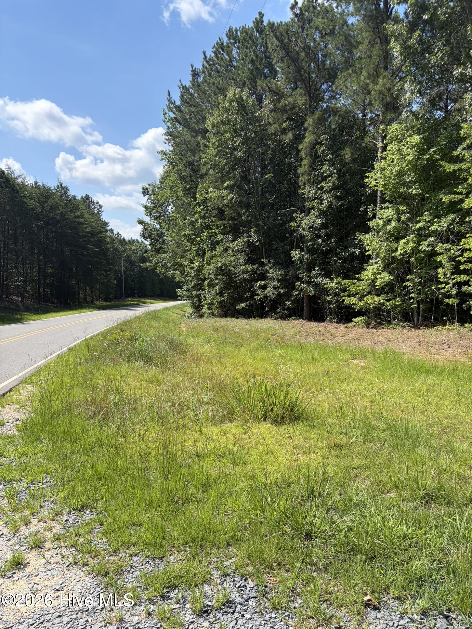 Tbd Green Road Ellerbe, NC 28338 - Photo 2 of 23
