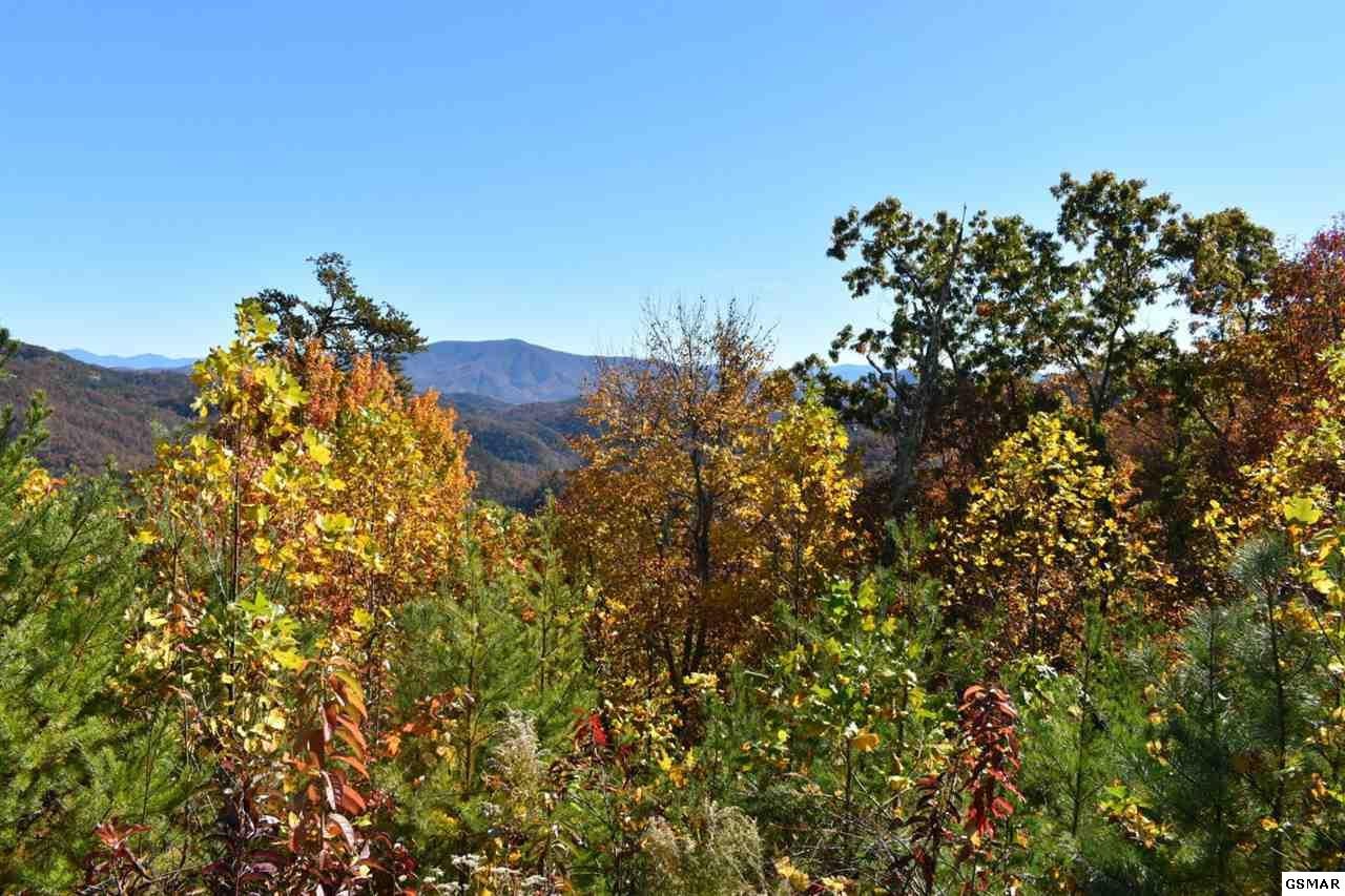 404978 Long Rifle Road Sevierville, TN 37862 - Photo 3 of 19 Gallery Image 3