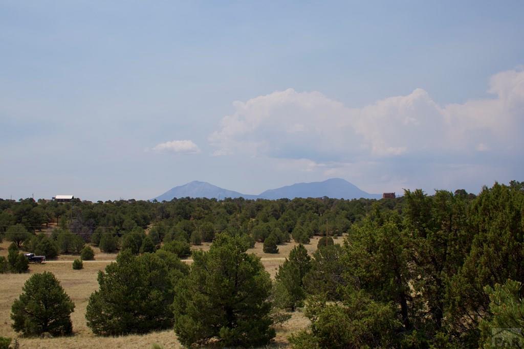 Unit #4 Unit Road Walsenburg, CO 81089 - Photo 17 of 36
