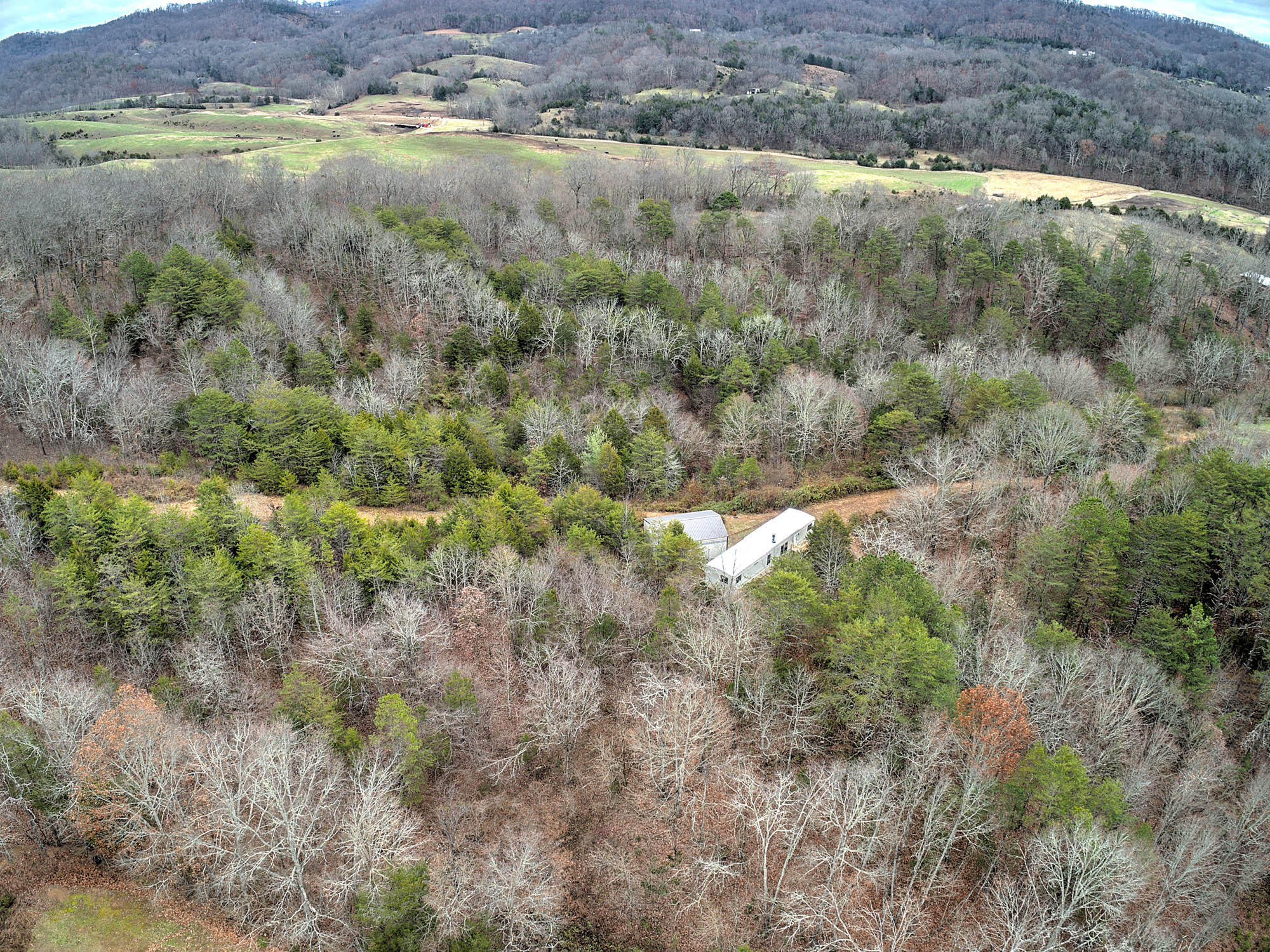 5668 Whitehouse Road Greeneville, TN 37745 - Photo 32 of 37 5668 Whitehouse Rd-8