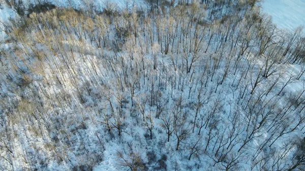 $499,500 | West Us-12 Highway, Clinton, MI 49236