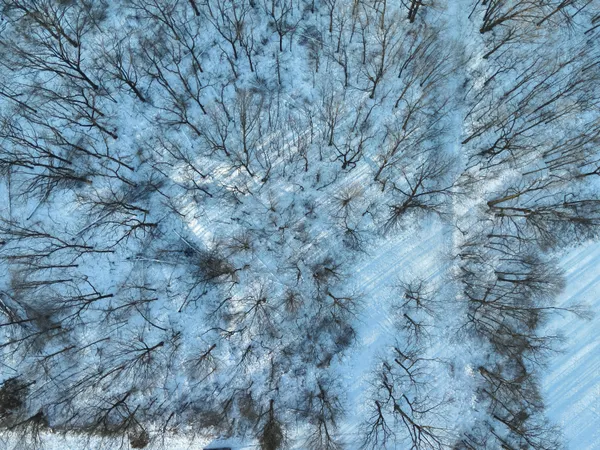 $499,500 | West Us-12 Highway, Clinton, MI 49236