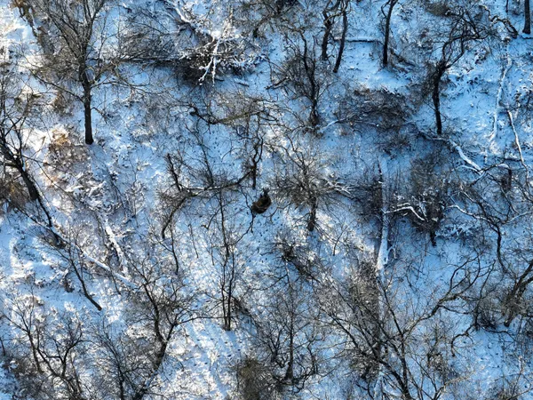 $499,500 | West Us-12 Highway, Clinton, MI 49236