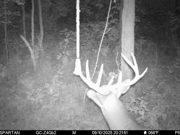 $499,500 | West Us-12 Highway, Clinton, MI 49236