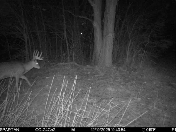 $499,500 | West Us-12 Highway, Clinton, MI 49236