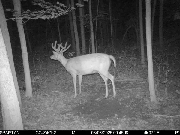 $499,500 | West Us-12 Highway, Clinton, MI 49236