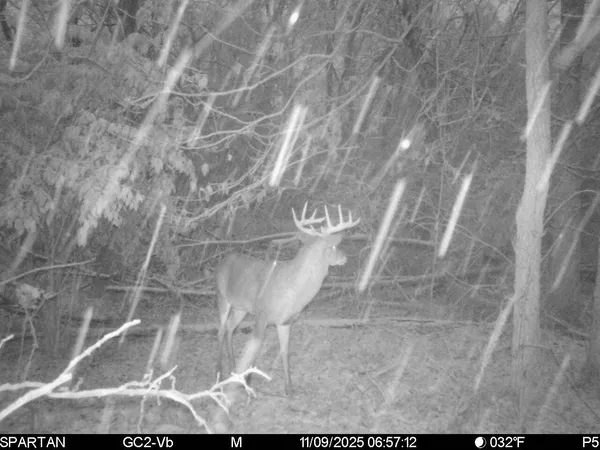 $499,500 | West Us-12 Highway, Clinton, MI 49236