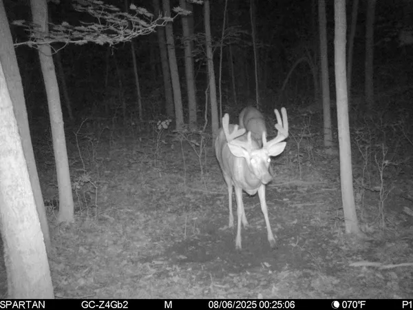 $499,500 | West Us-12 Highway, Clinton, MI 49236