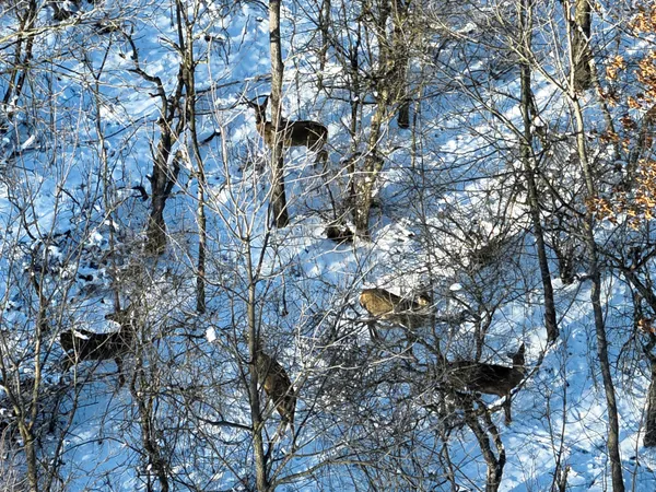 $499,500 | West Us-12 Highway, Clinton, MI 49236