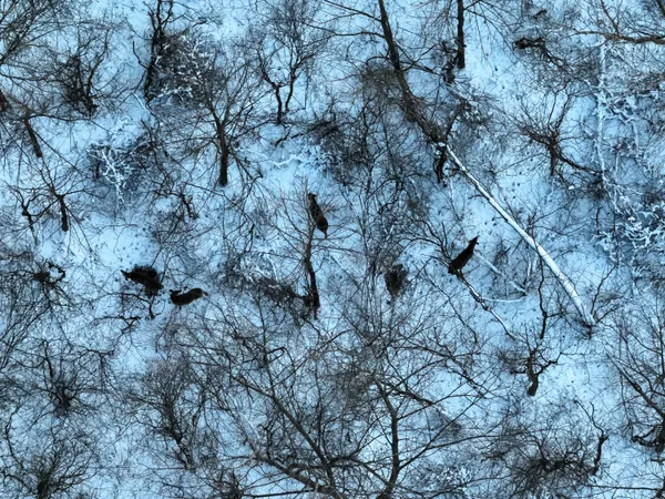 $499,500 | West Us-12 Highway, Clinton, MI 49236