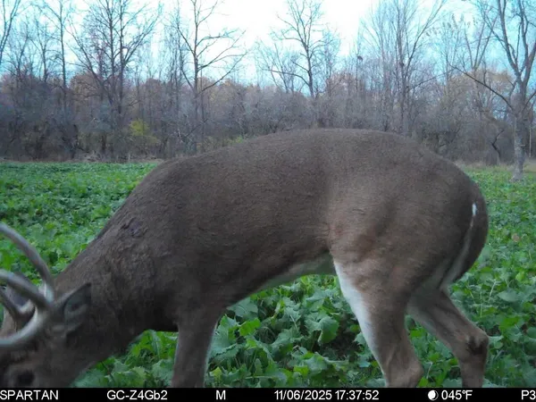 $499,500 | West Us-12 Highway, Clinton, MI 49236