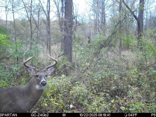 $499,500 | West Us-12 Highway, Clinton, MI 49236