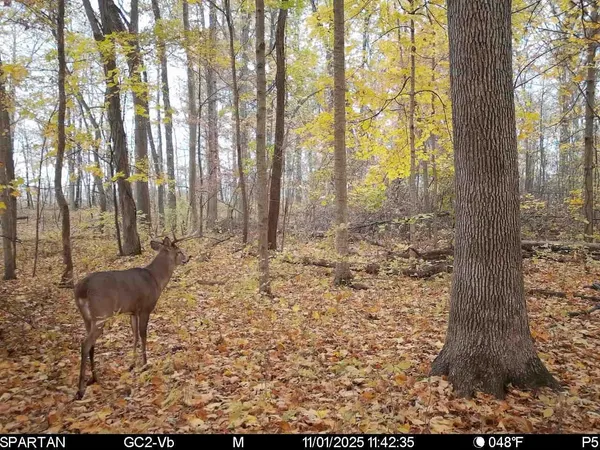 $499,500 | West Us-12 Highway, Clinton, MI 49236