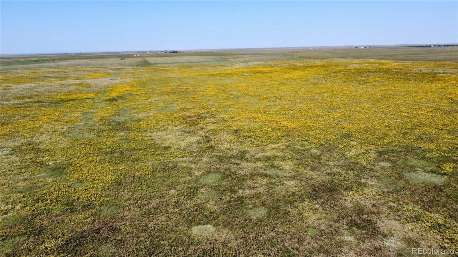 22 County Road Ramah, CO 80832 - Photo 13 of 17 a view of an ocean