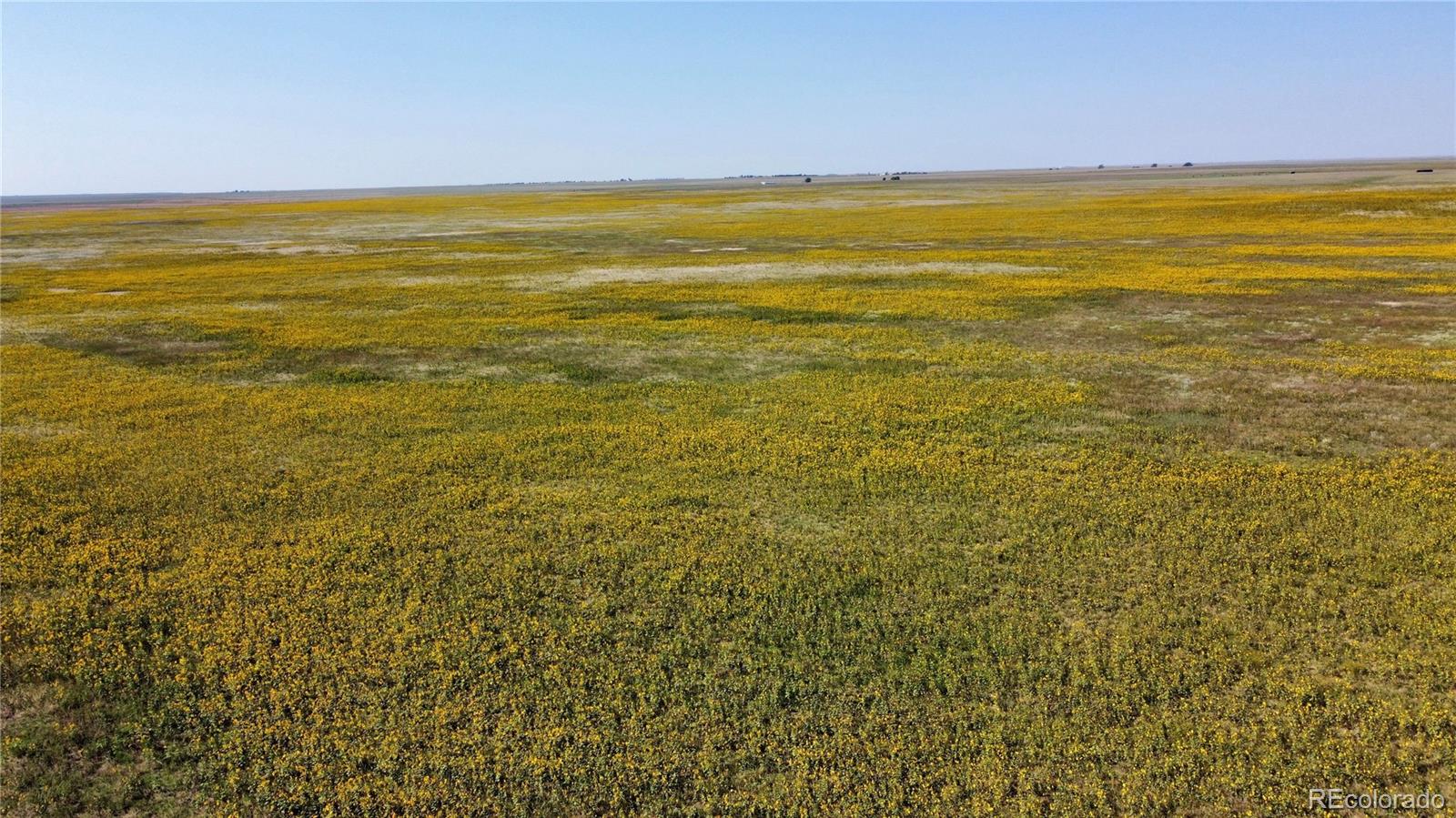 22 County Road Ramah, CO 80832 - Photo 15 of 17 a view of an ocean