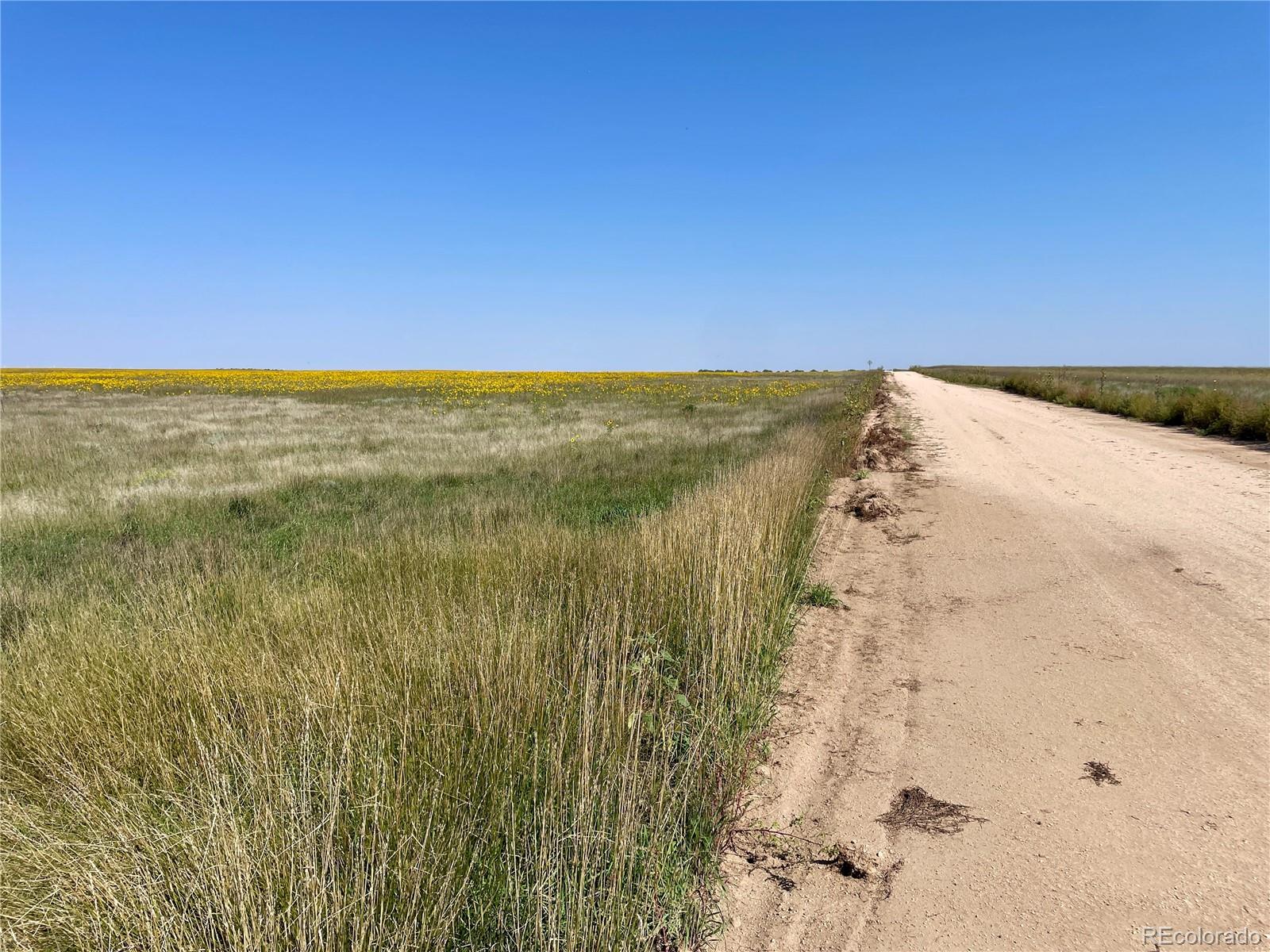 22 County Road Ramah, CO 80832 - Photo 16 of 17 a view of ocean view with beach