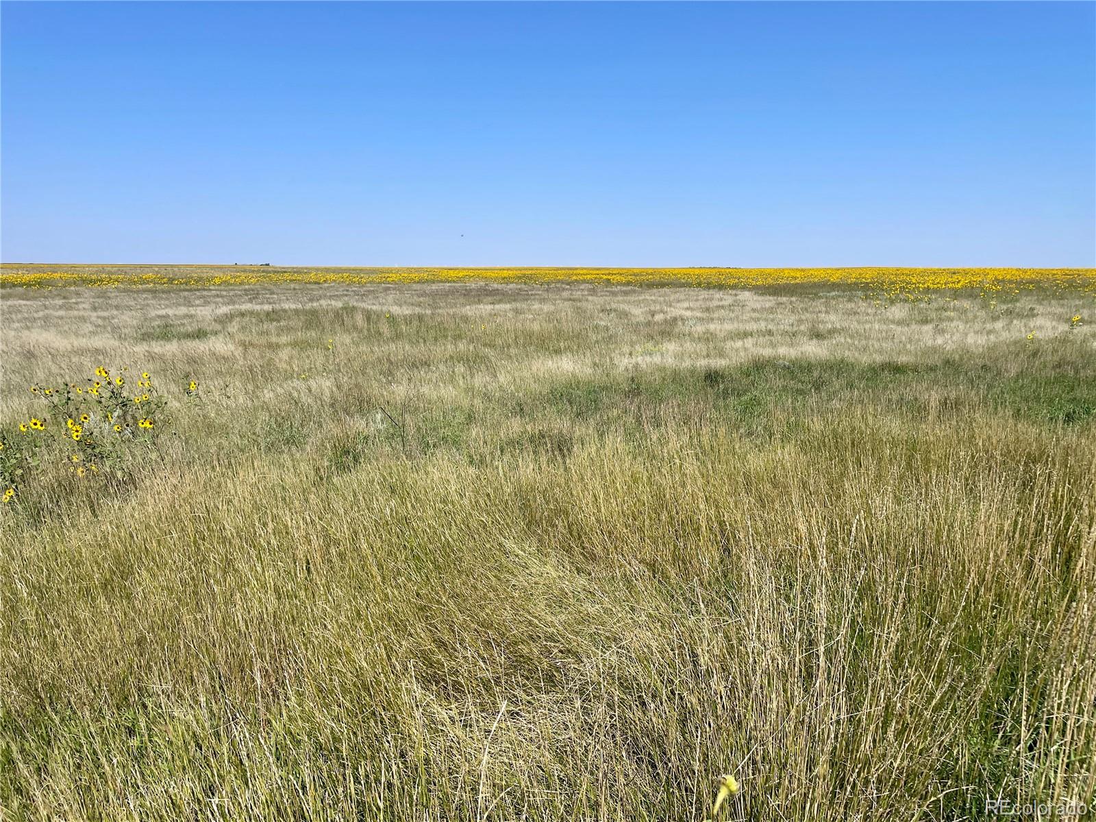 22 County Road Ramah, CO 80832 - Photo 17 of 17