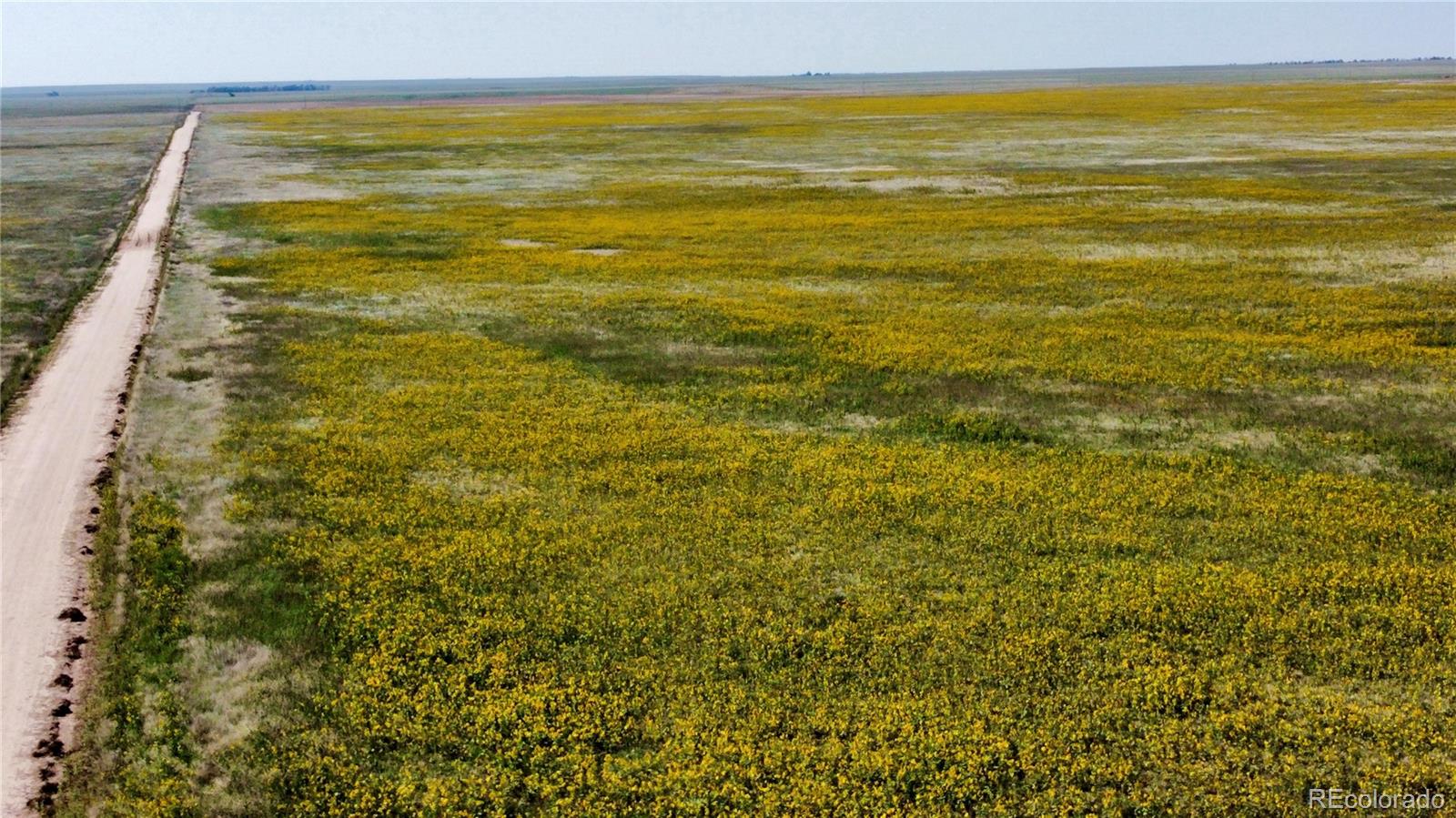 22 County Road Ramah, CO 80832 - Photo 2 of 17 a view of an ocean