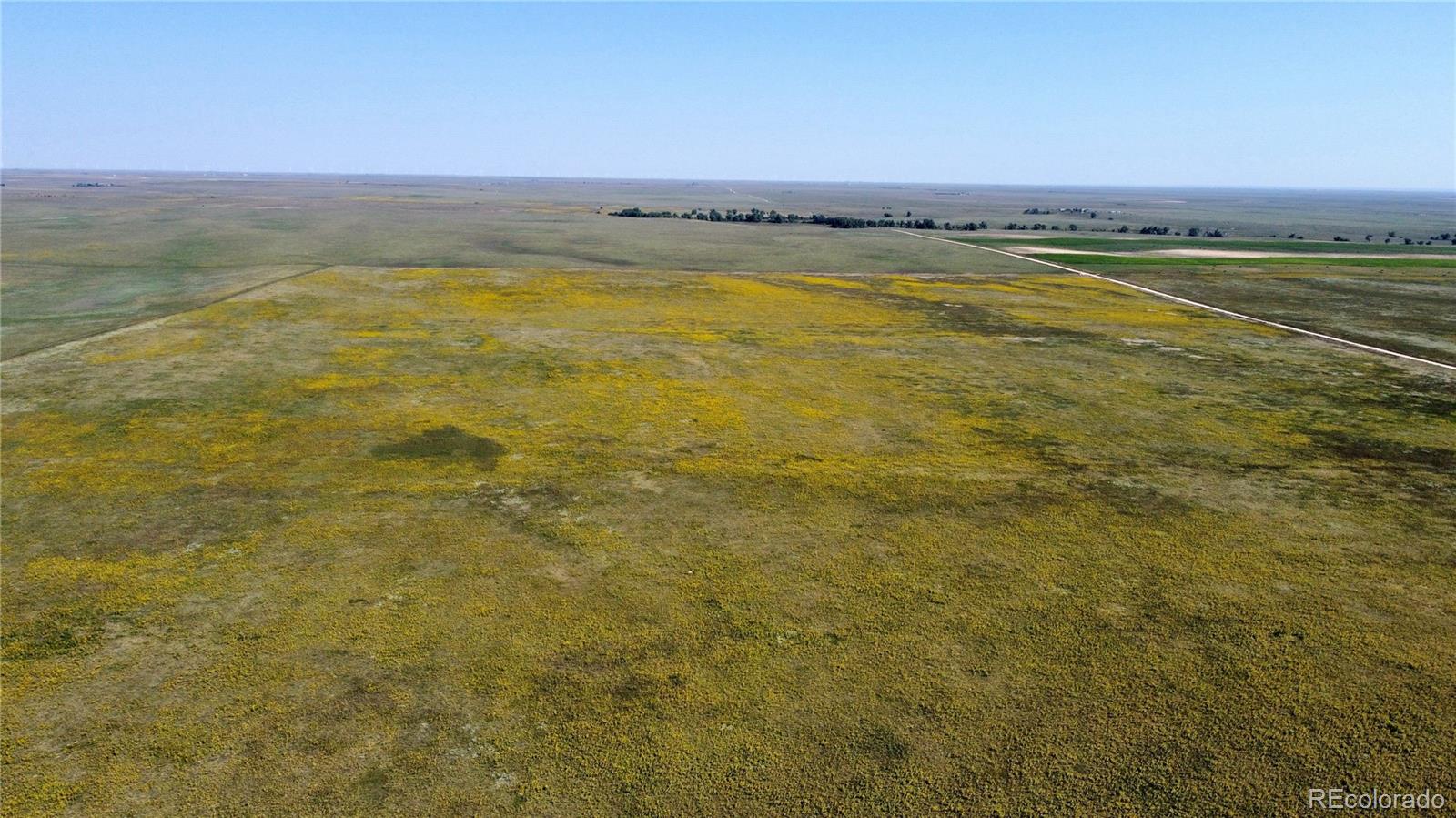 22 County Road Ramah, CO 80832 - Photo 8 of 17 a view of an ocean