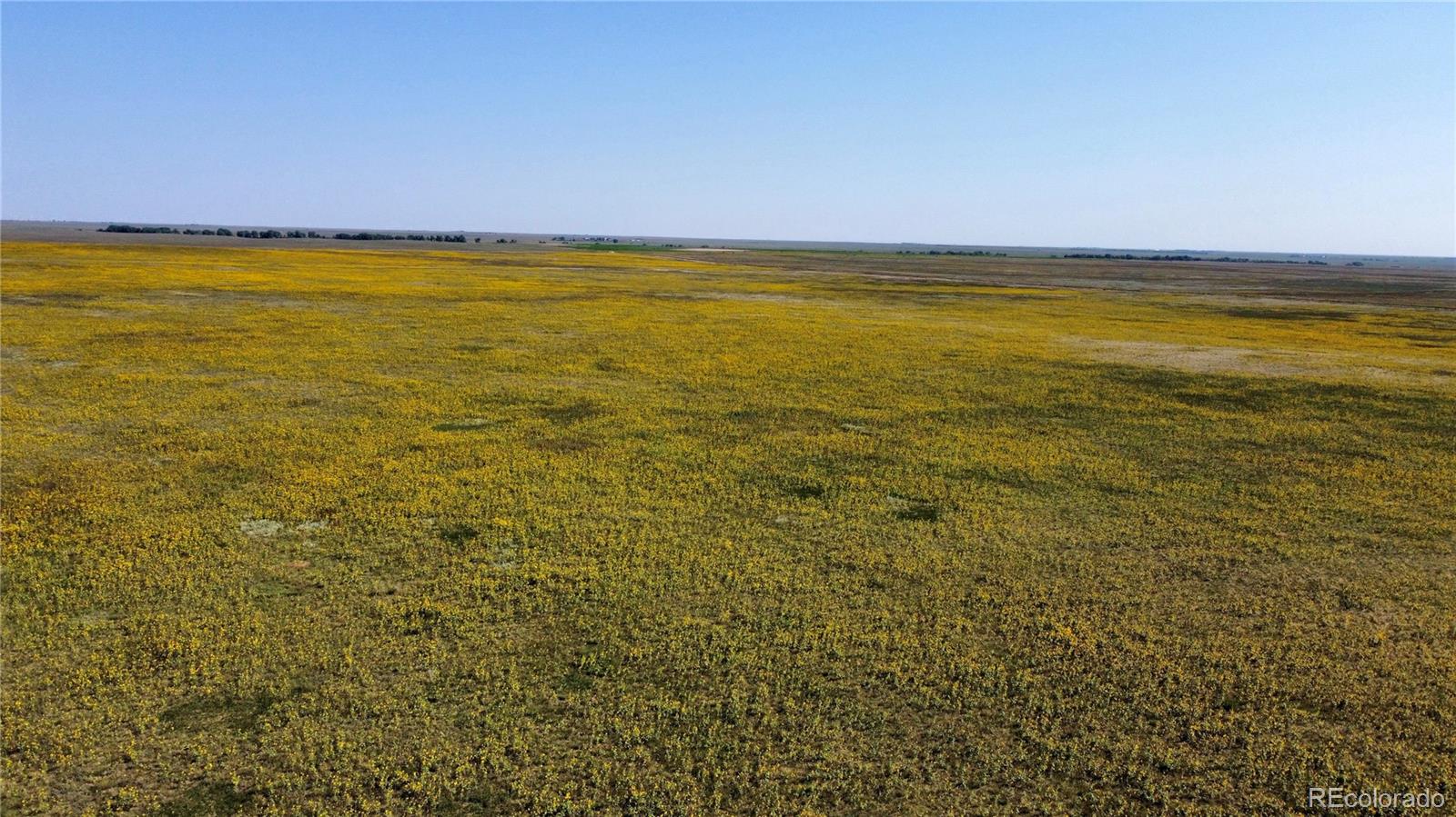 22 County Road Ramah, CO 80832 - Photo 9 of 17 a view of an ocean and beach