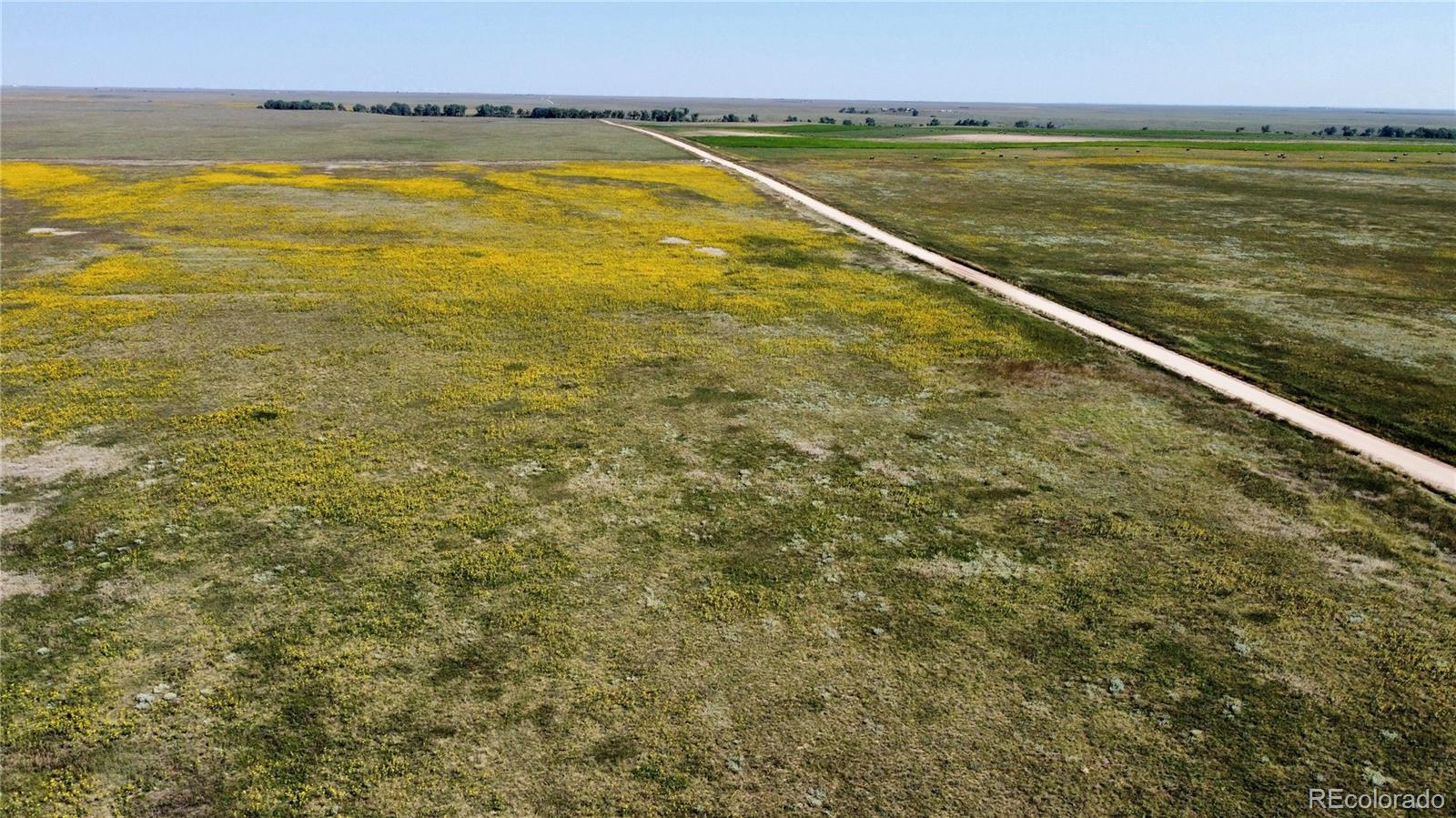 22 County Road Ramah, CO 80832 - Photo 10 of 17 a view of an ocean and beach