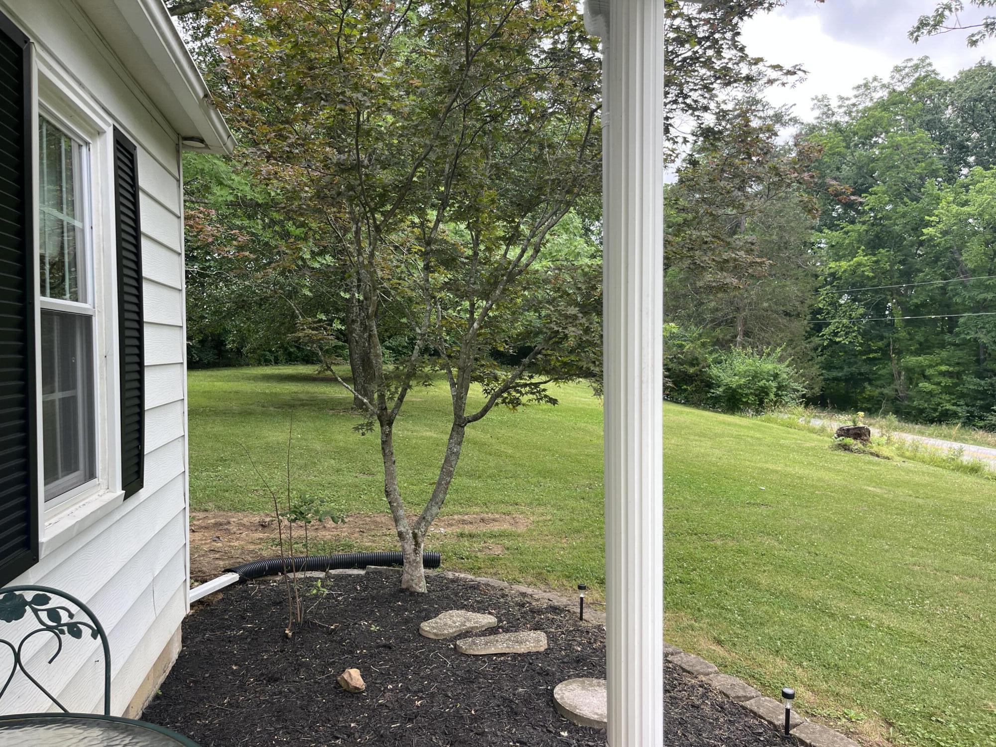 9660 Jonesville Road Dry Ridge, KY 41035 - Photo 10 of 38 IMG_1709