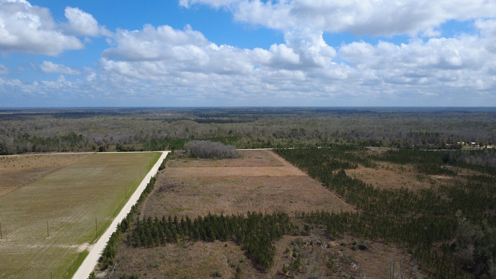 40 Davis Peacock Road Wewahitchka, FL 32449 - Photo 18 of 22
