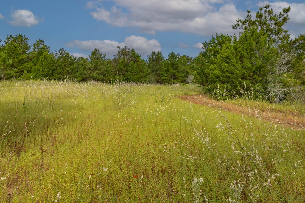 1195 Power Dam Road Newton, AL 36352 - Photo 51 of 87 Gallery Image 51