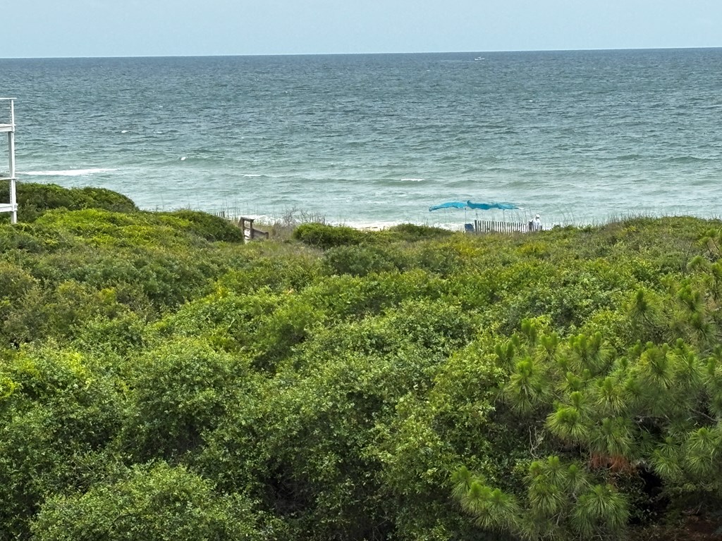1640 Ivy Way St. George Island, FL 32328 - Photo 19 of 84