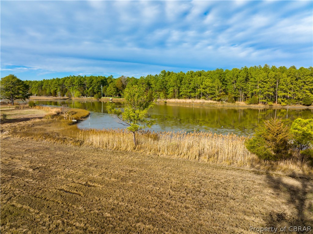 0 Piney Point Road Onemo, VA 23130 - Photo 4 of 14