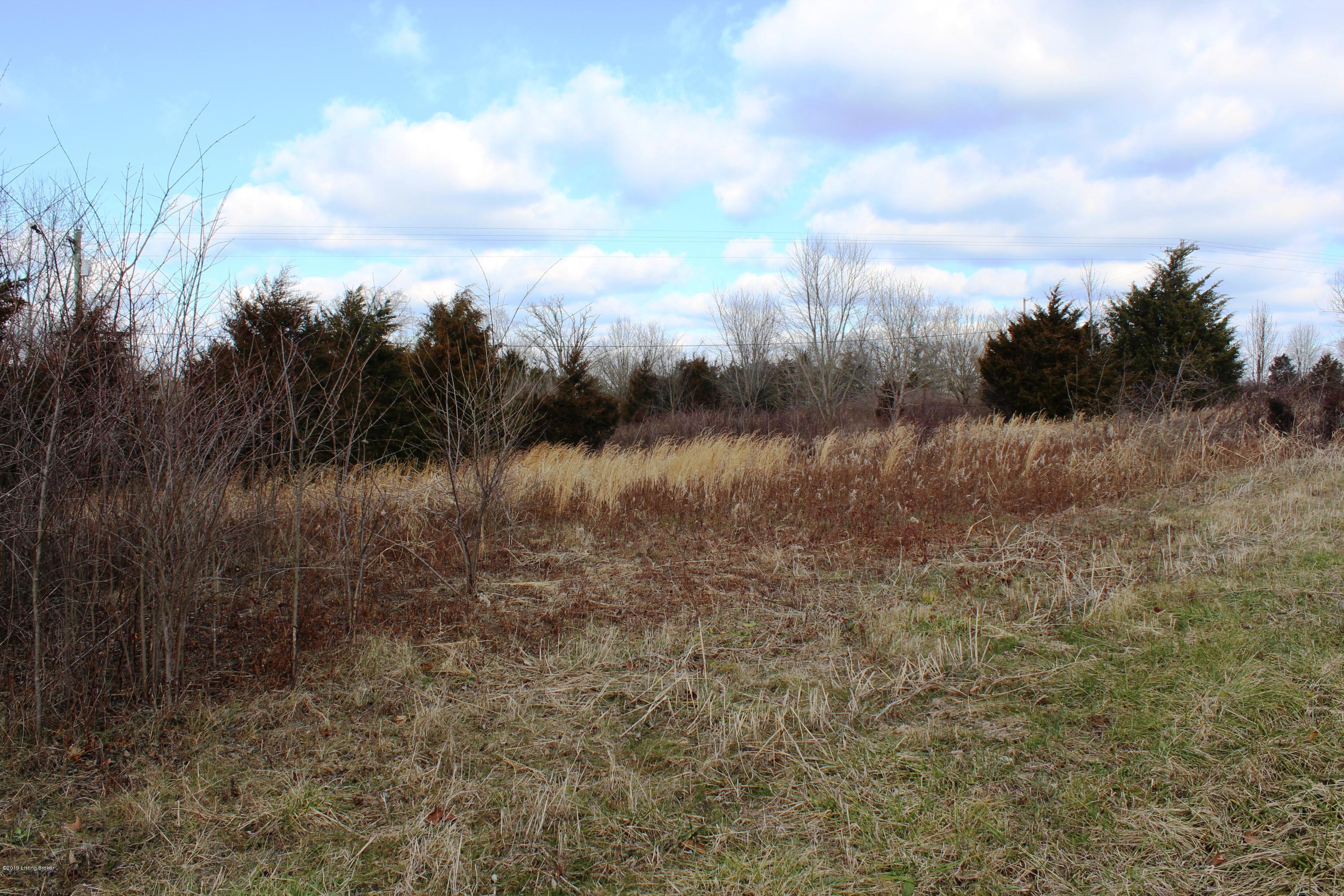 Lot 30 Bart Smith Road Smithfield, KY 40068 - Photo 4 of 6 002