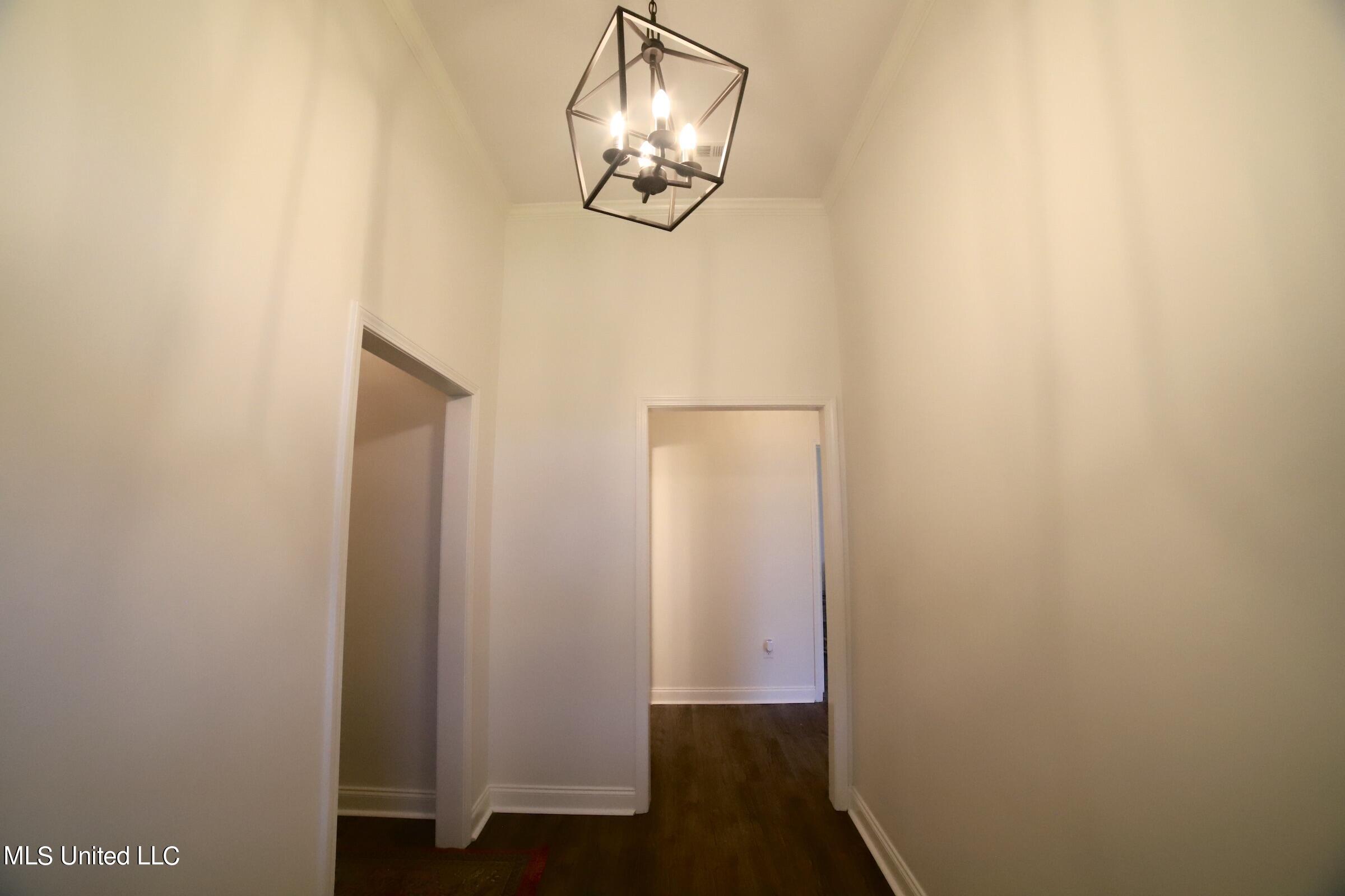 120 Lennox Place Brandon, MS 39042 - Photo 2 of 17 Hallway