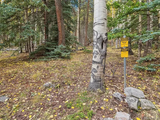 $925,000 | 95 Meadowlark Drive, Evergreen, CO 80439