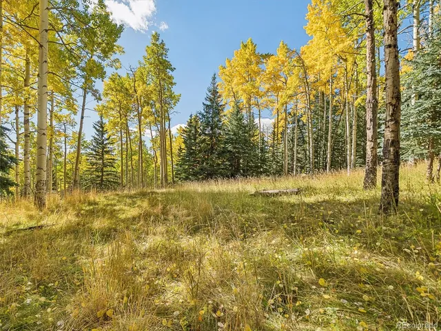 $925,000 | 95 Meadowlark Drive, Evergreen, CO 80439