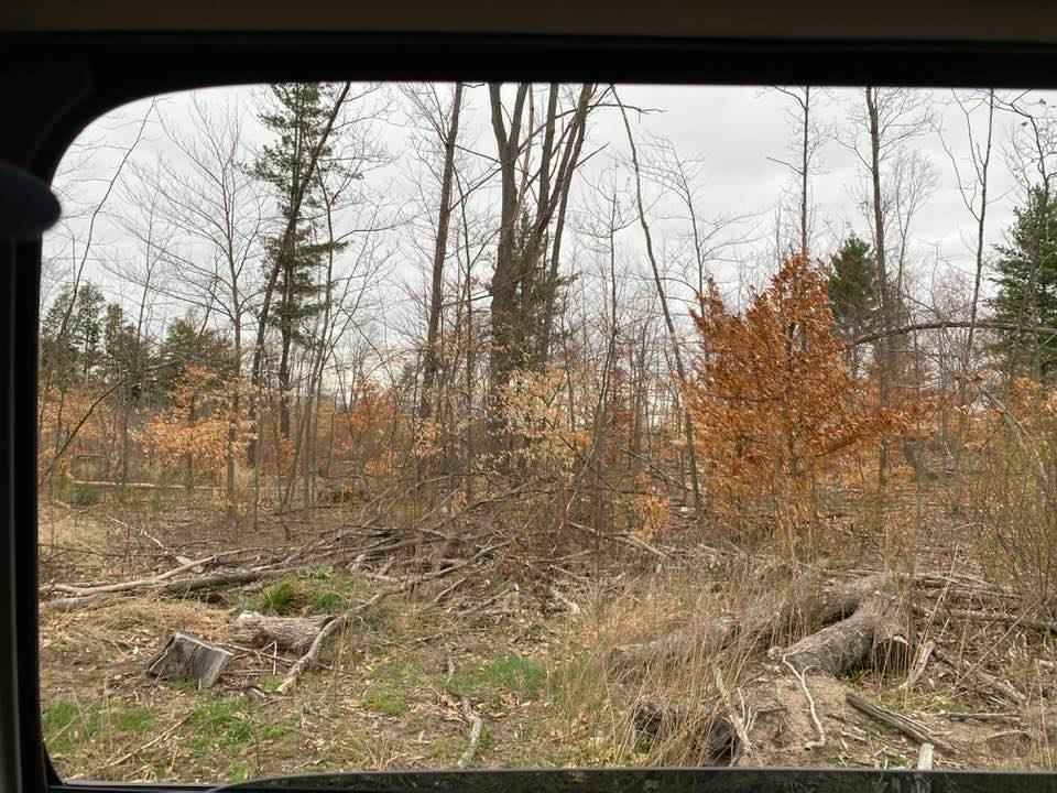 11233 Arbogast Road Morley, MI 49336 - Photo 9 of 9 1886335-8.JPG
