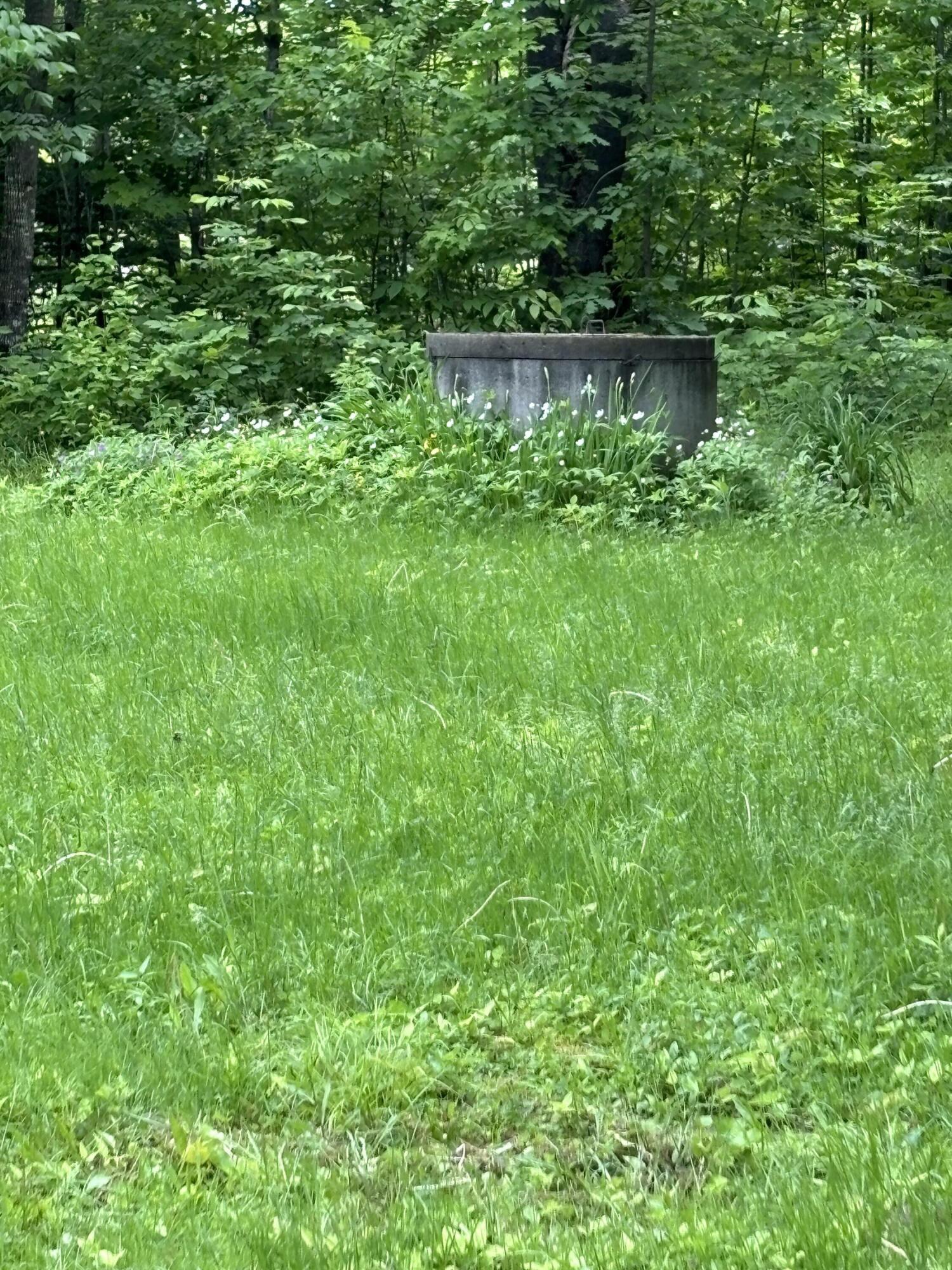 101 Hammond Road Wilton, ME 04294 - Photo 17 of 17 Dug well